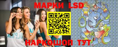 spice Кунгур