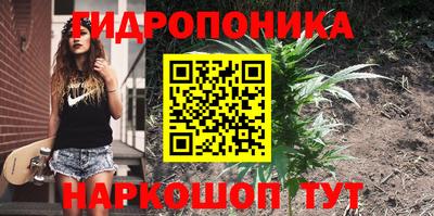 spice Кунгур